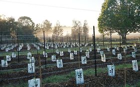Narangba Motel Formerly Brisbane North B&B